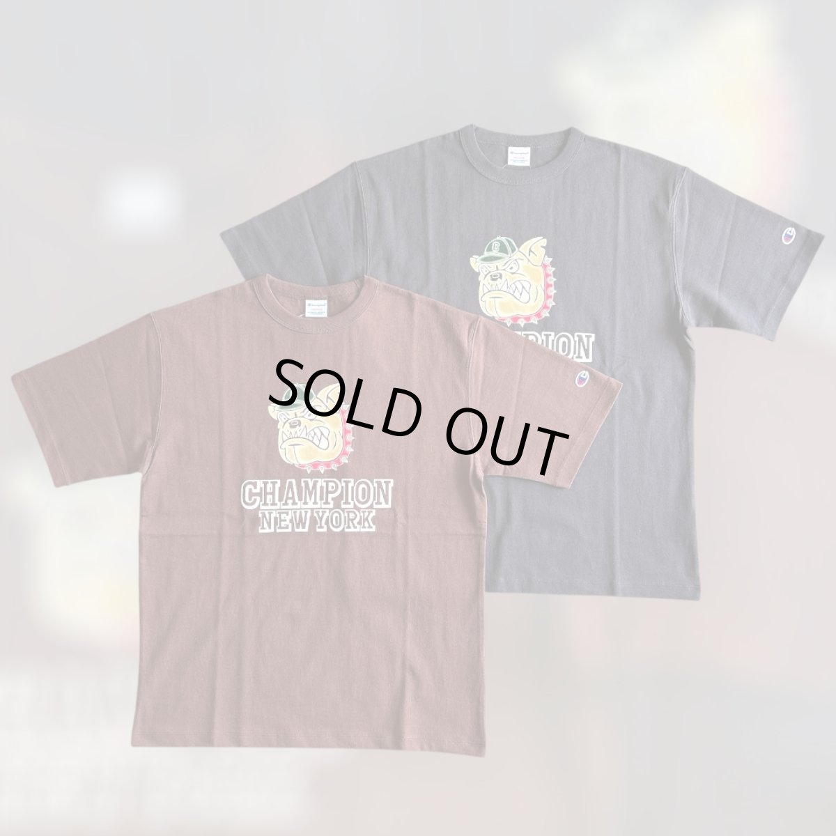 画像1: 【Champion/チャンピオン】ショートスリーブプリントTシャツ（2color） (1)